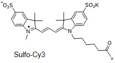 磺化Cy3化学结构